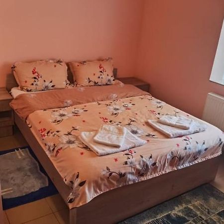 Pensiune si Cazare la Mitza Giarmata Esterno foto